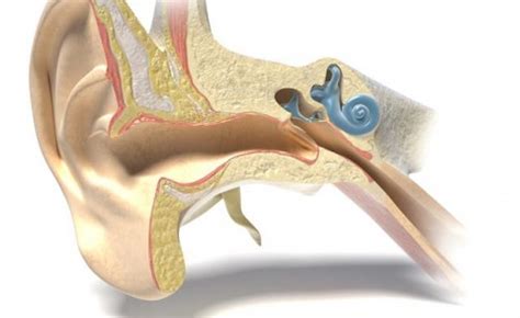 tumori dell'orecchio diagnosi